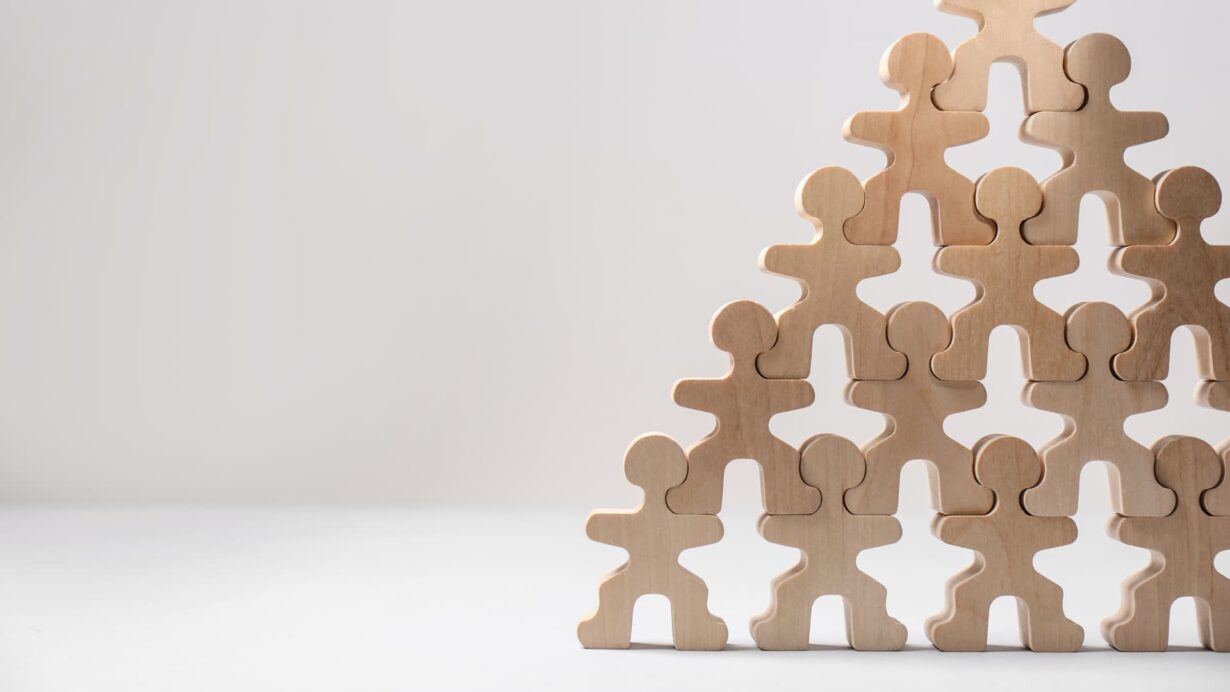 skill gaps, development, learning, dco, the development company, management training, teams