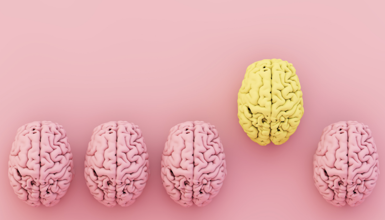 Screenshot 2025-05-02 at 115644 - The Development Company UK Ltd